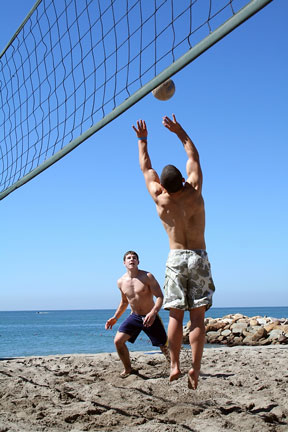 pics of volleyball. Volleyball